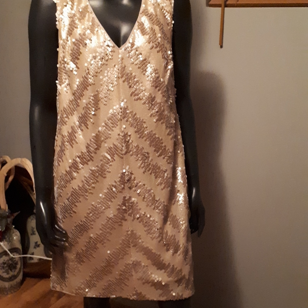 Dressy dress